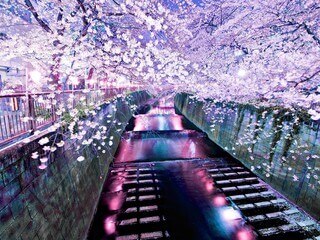 romantic Tokyo